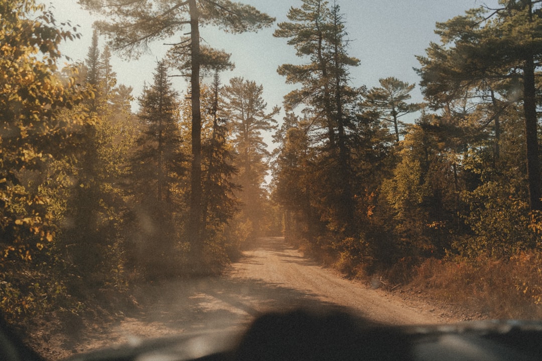 The Art of Slow Travel: Embracing Nature’s Pace