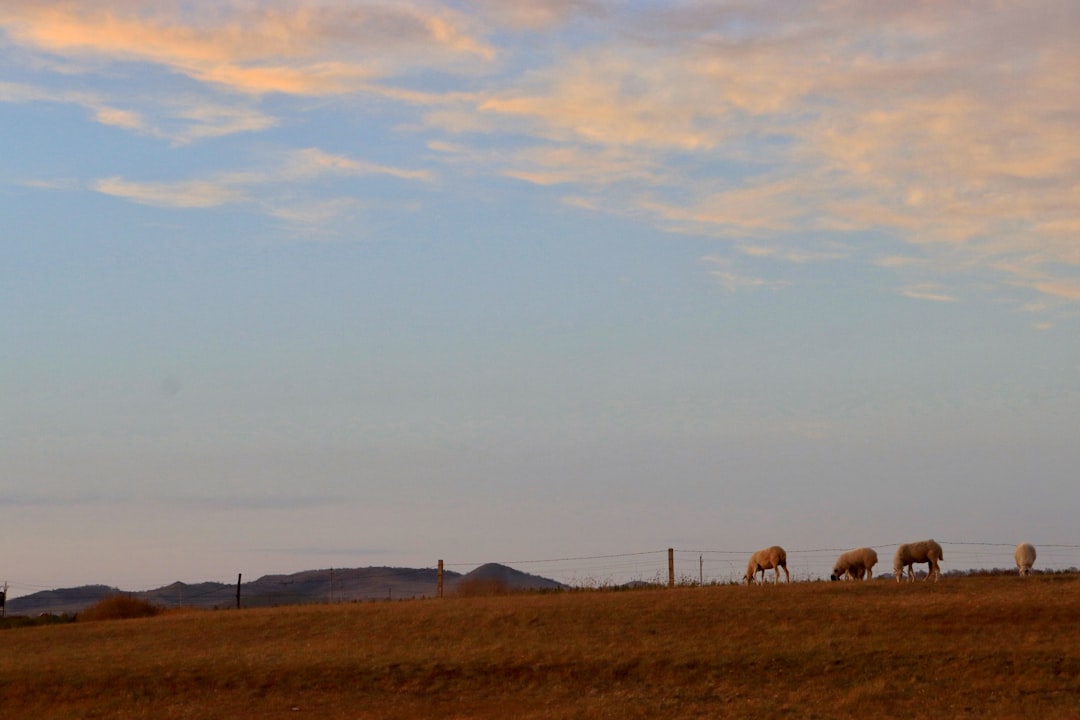 Unconventional Ways to Experience the Great Outdoors