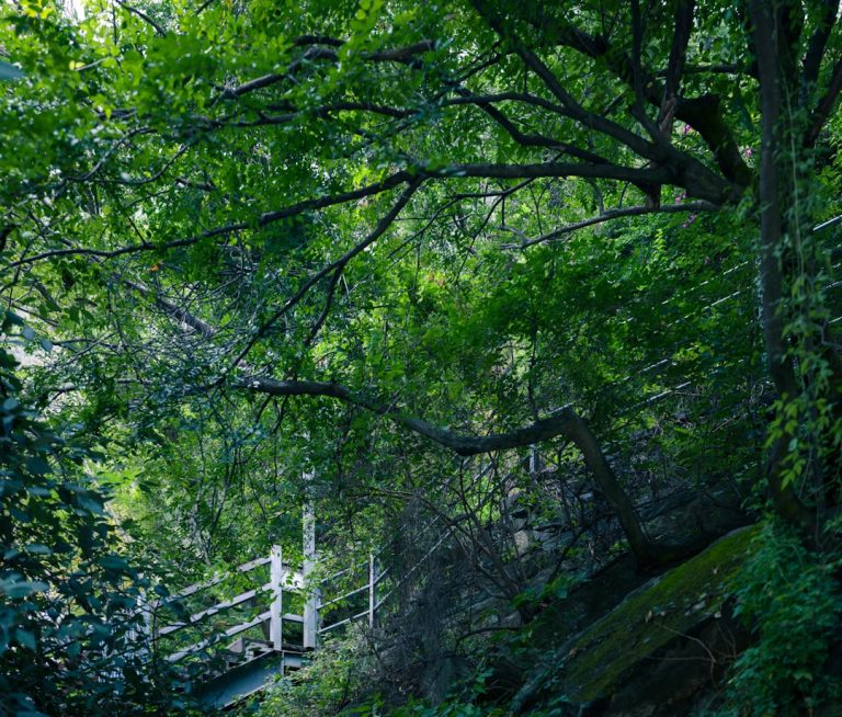 Unconventional Eco-Friendly Travel Tips for the Modern Explorer