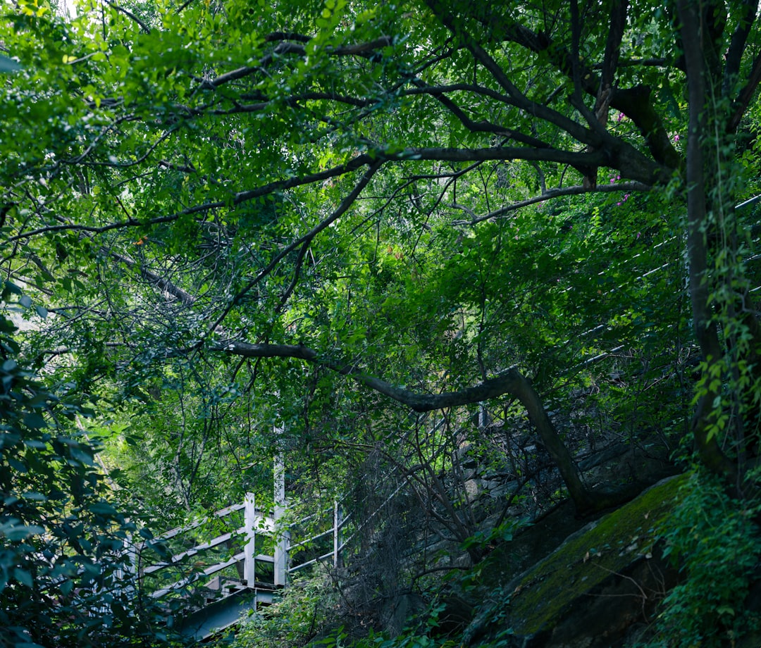 Unconventional Eco-Friendly Travel Tips for the Modern Explorer